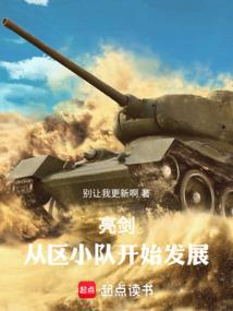 亮剑:从区小队开始发展全文阅读