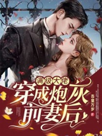 满级大佬穿成炮灰前妻后全文阅读