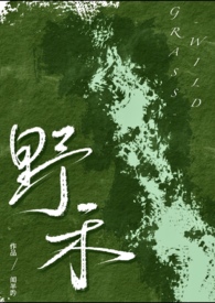 野禾(伪兄妹、bdsm)全文阅读